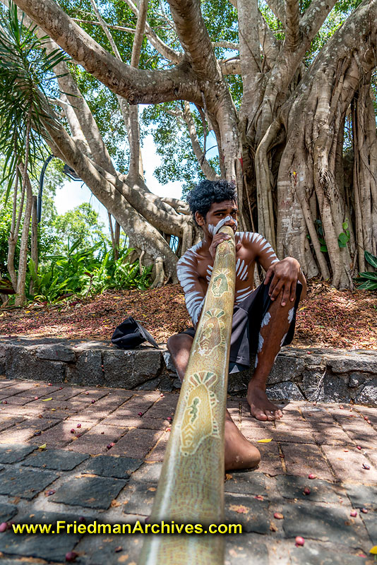 instrument,native,australia,aboriginee,aboriginal,